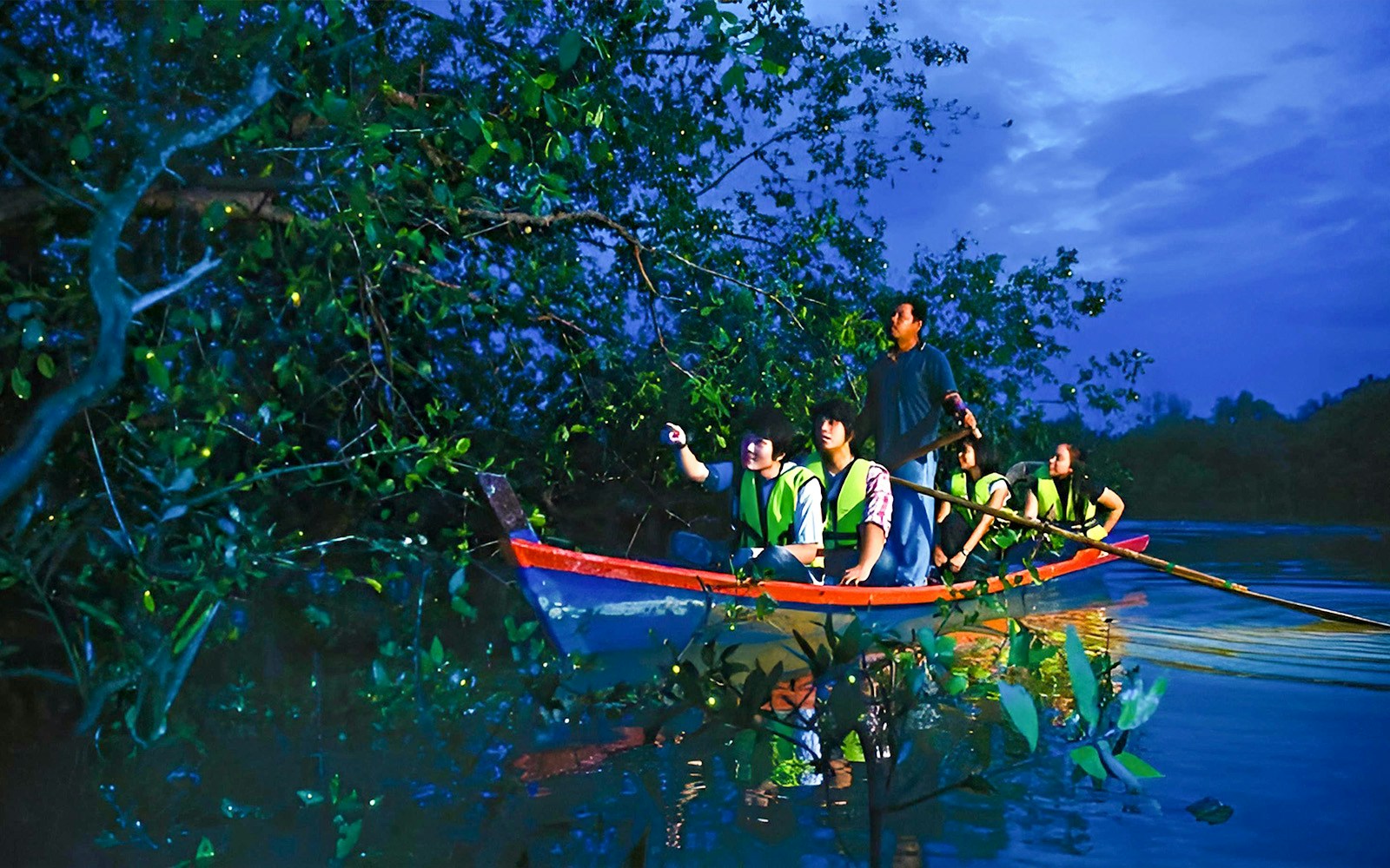 Boat tour in Kuala Selangor with people observing fireflies at night.
