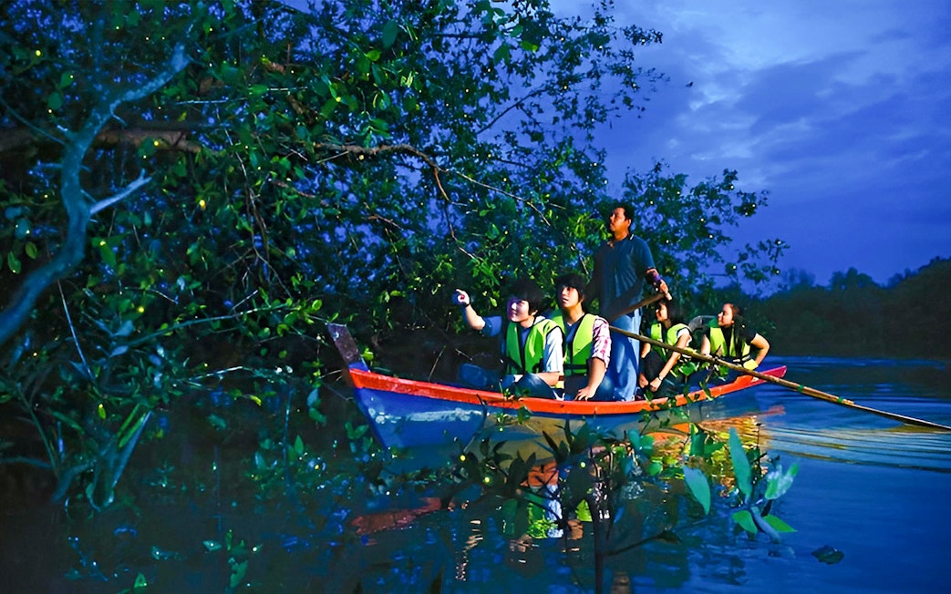 People on a boat observing fireflies in Kuala Selangor tour.