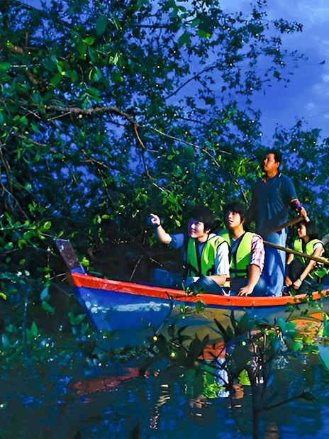 People on a boat observing fireflies in Kuala Selangor tour.