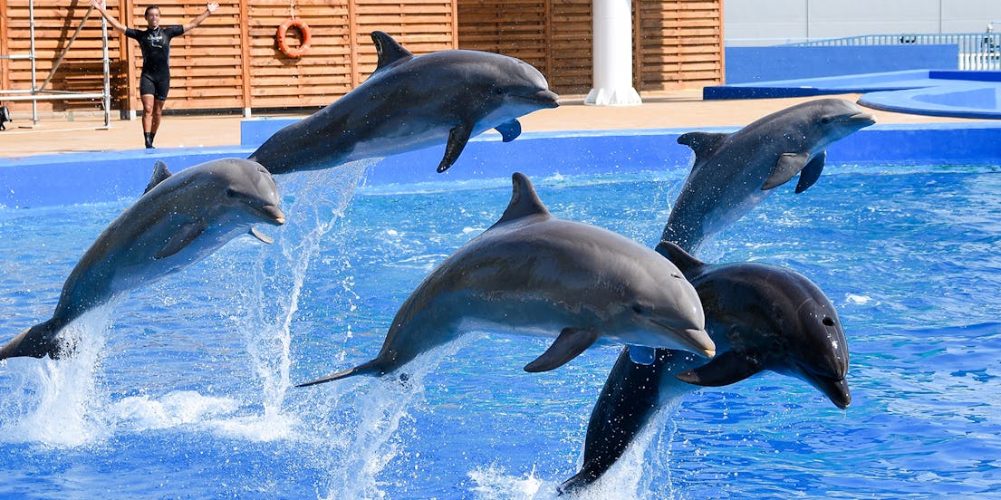 Delfinario e Planetario