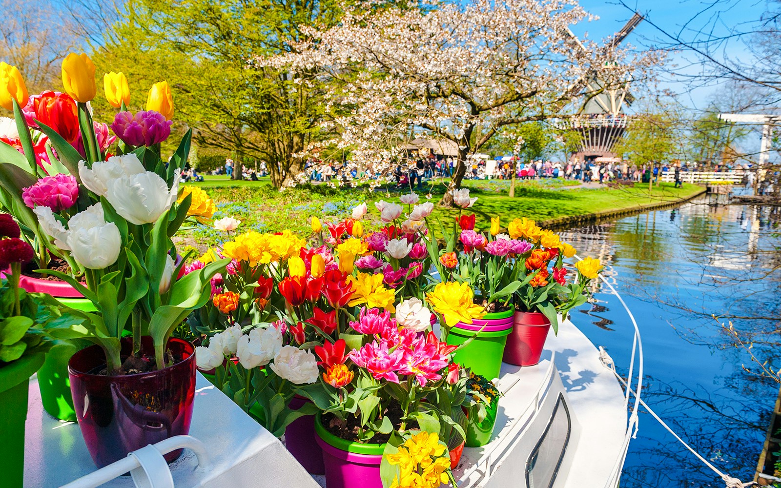 Whisper boat with tulips on canal at Keukenhof gardens, Netherlands.
