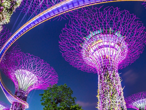 Supertree Grove illuminated at night, Gardens by the Bay, Singapore.
