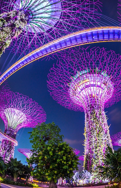 Supertree Grove illuminated at night, Gardens by the Bay, Singapore.