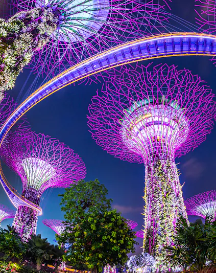 Supertree Grove illuminated at night, Gardens by the Bay, Singapore.