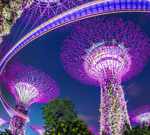 Supertree Grove illuminated at night, Gardens by the Bay, Singapore.