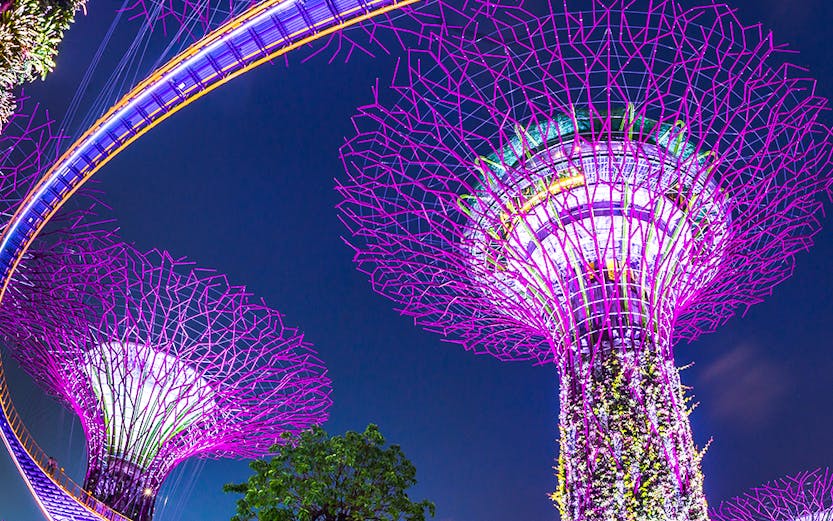 Supertree Grove illuminated at night, Gardens by the Bay, Singapore.