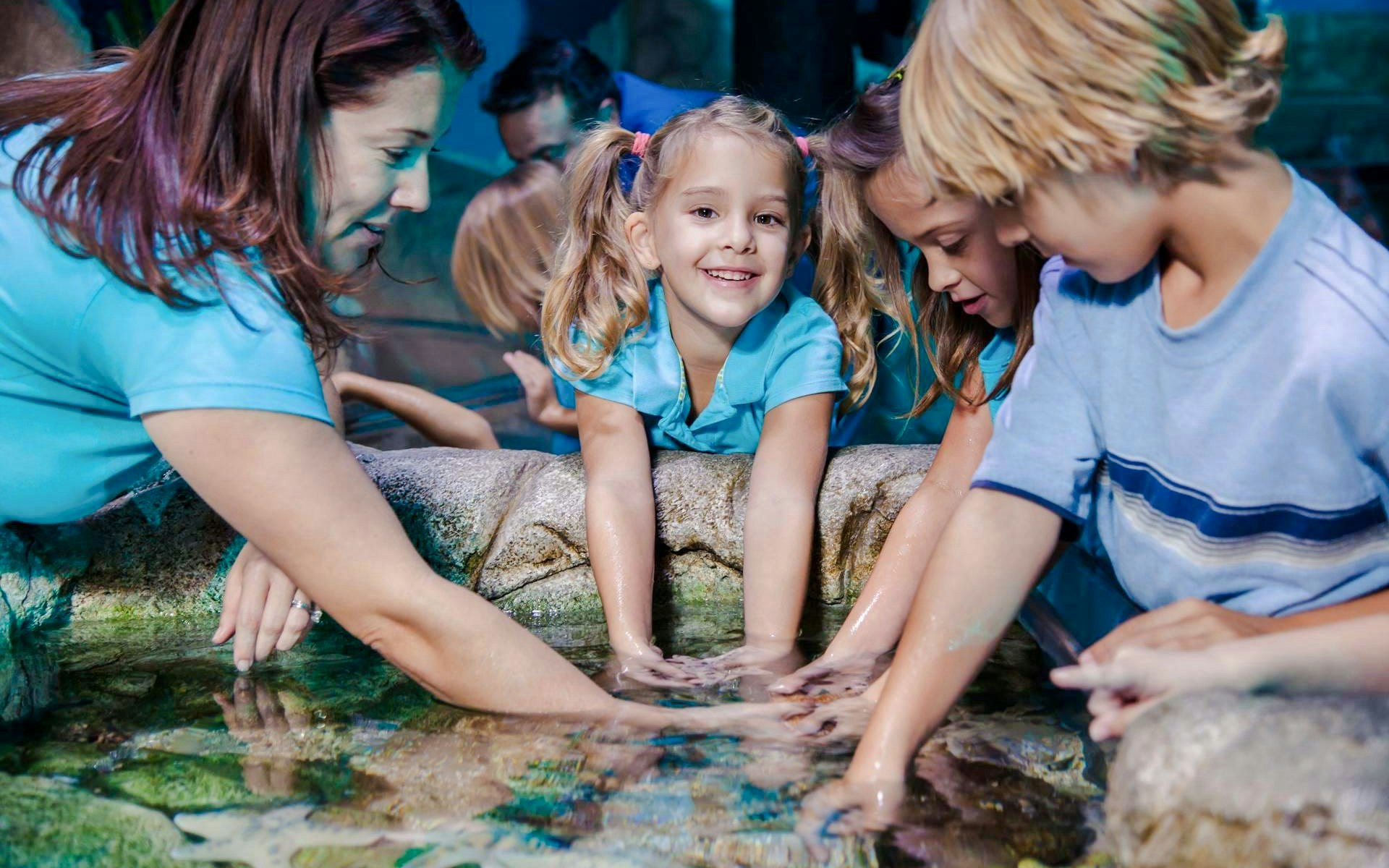Children exploring touch pool at SEA Life Manchester.