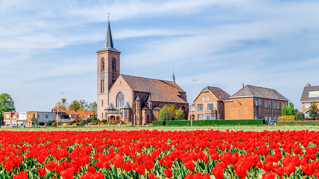 visit keukenhof