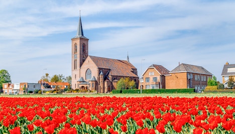 keukenhof 2025