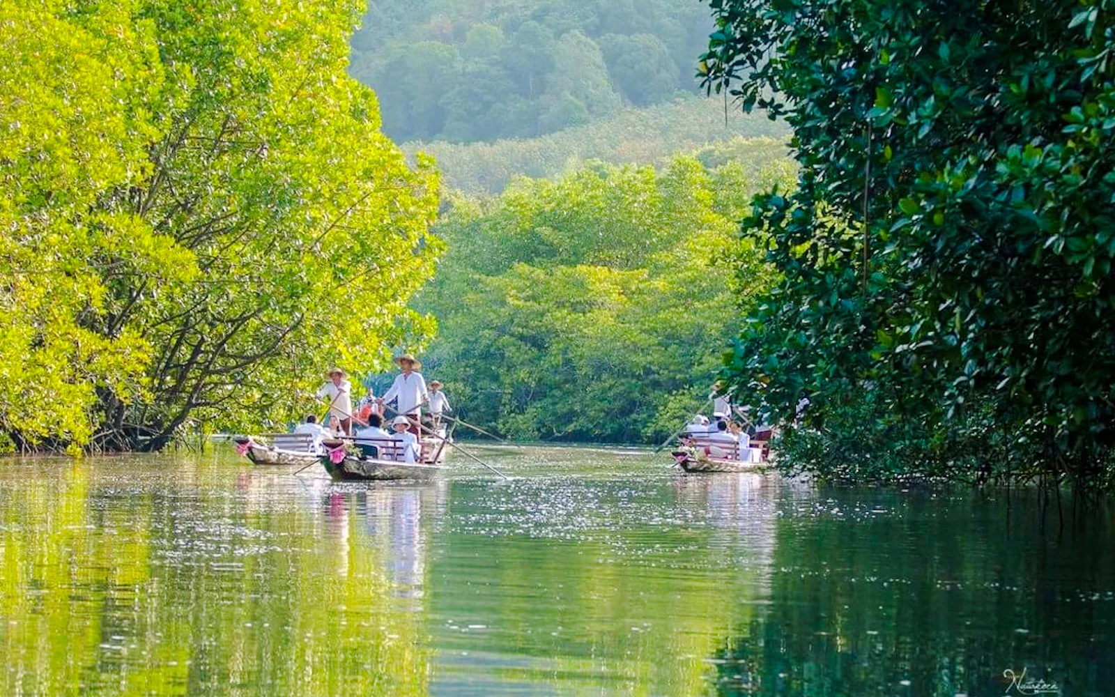 Koh Chang Private Salak Khok Mangrove Gondola Boat Tour Image 3