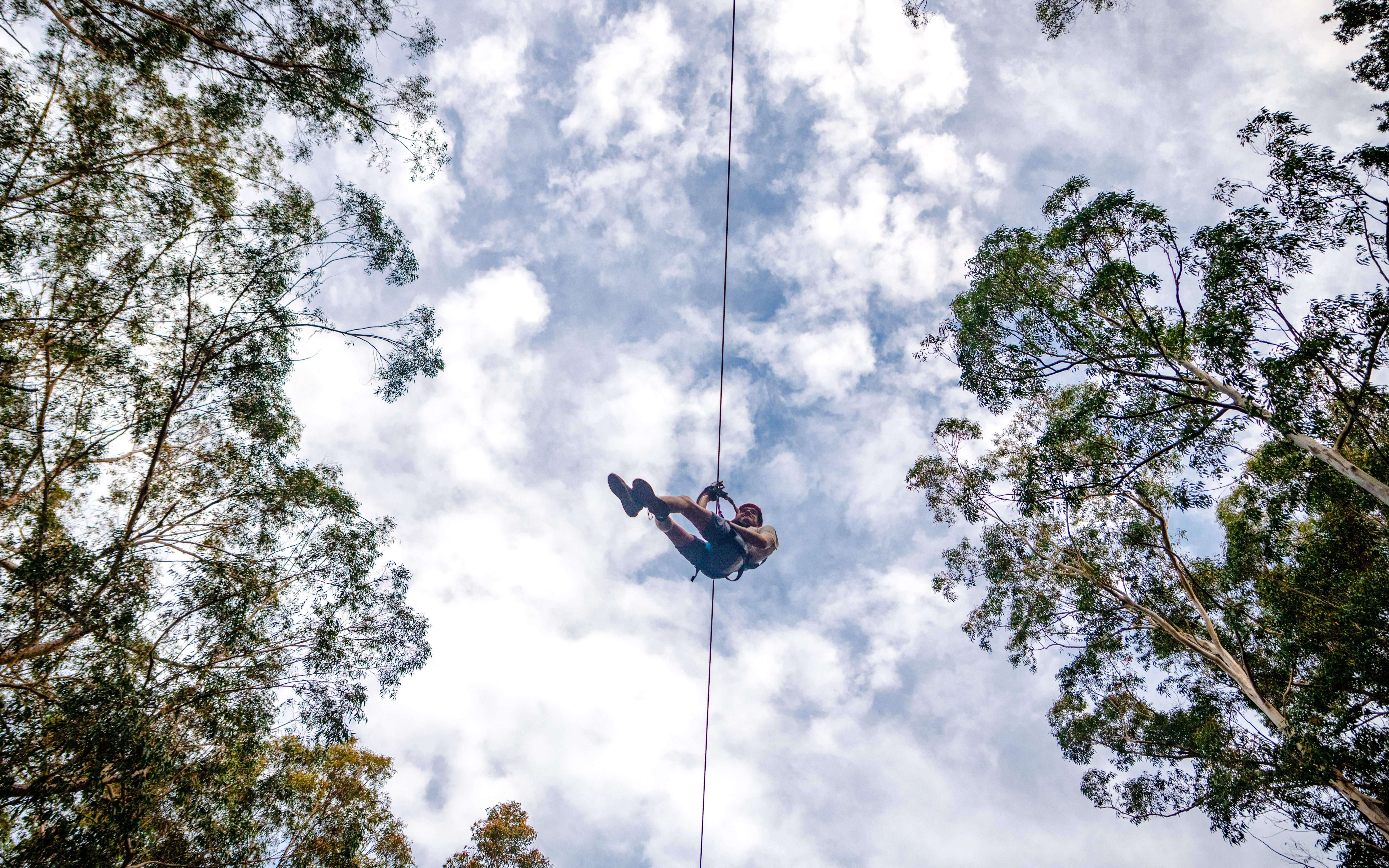 Ziplining through Daintree Rainforest canopy against a cloudy sky.