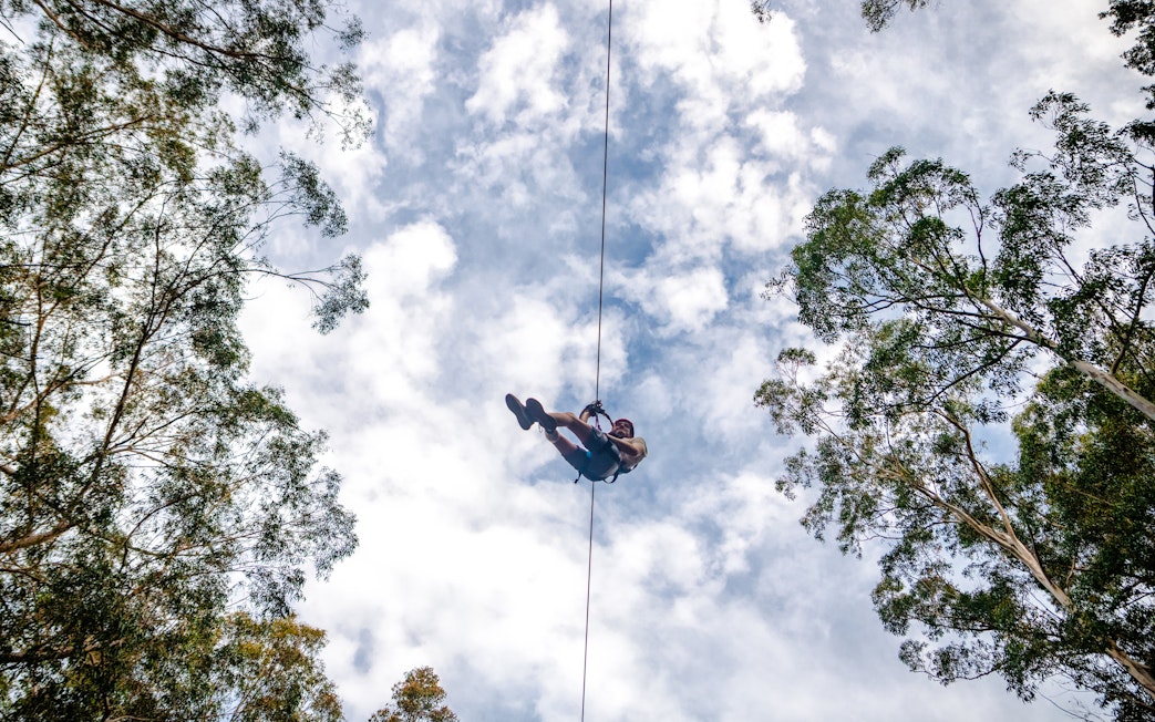 Ziplining through Daintree Rainforest canopy against a cloudy sky.