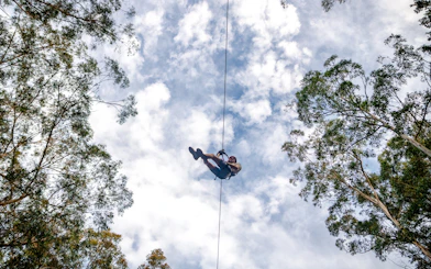 Ziplining through Daintree Rainforest canopy against a cloudy sky.