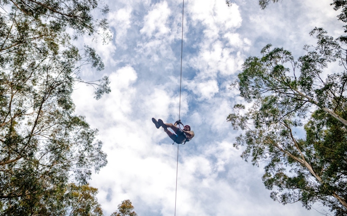 Ziplining through Daintree Rainforest canopy against a cloudy sky.