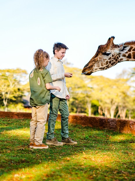 Kids feeding a giraffe at a wildlife park.