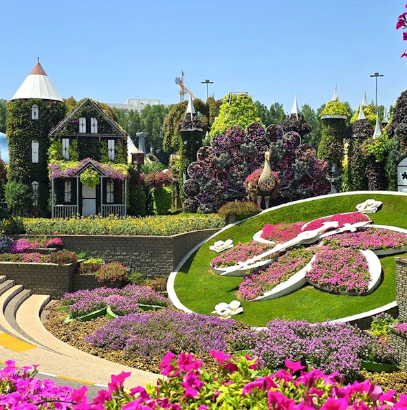 Dubai Miracle Garden by night: Lights, flowers, and festivities