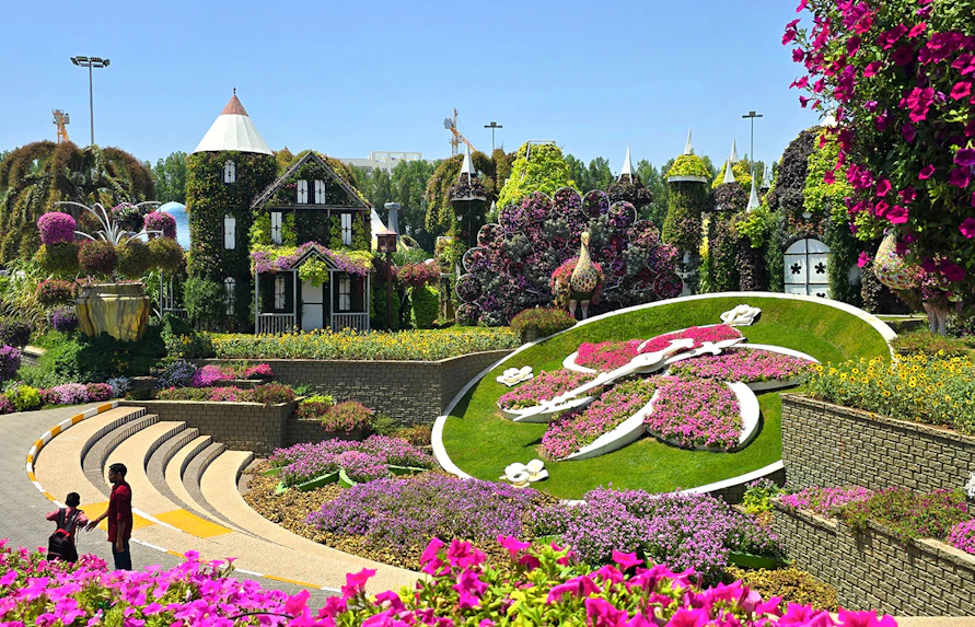 Floral clock surrounded by vibrant flowers at Dubai Miracle Garden.