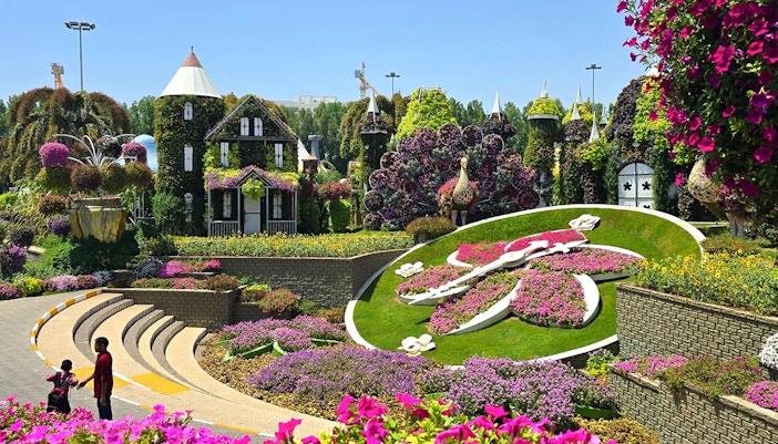 Floral clock surrounded by vibrant flowers at Dubai Miracle Garden.