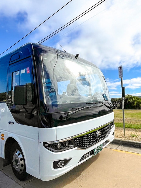 Tour bus parked along Great Ocean Road, Melbourne, with tourists gathering nearby.
