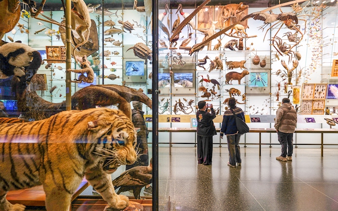 Diorama of diverse animal species at American Museum of Natural History, visitors observing exhibits.