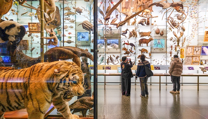 Hall of Bio diversity American Museum of Natural History