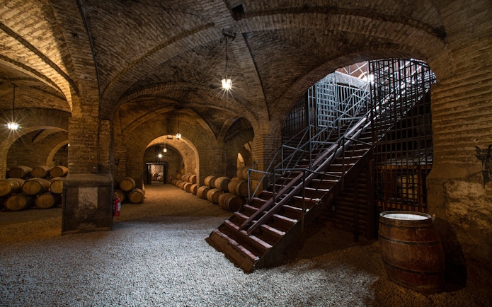 Wine barrels in the historic cellars of Viña Santa Carolina, Chile.