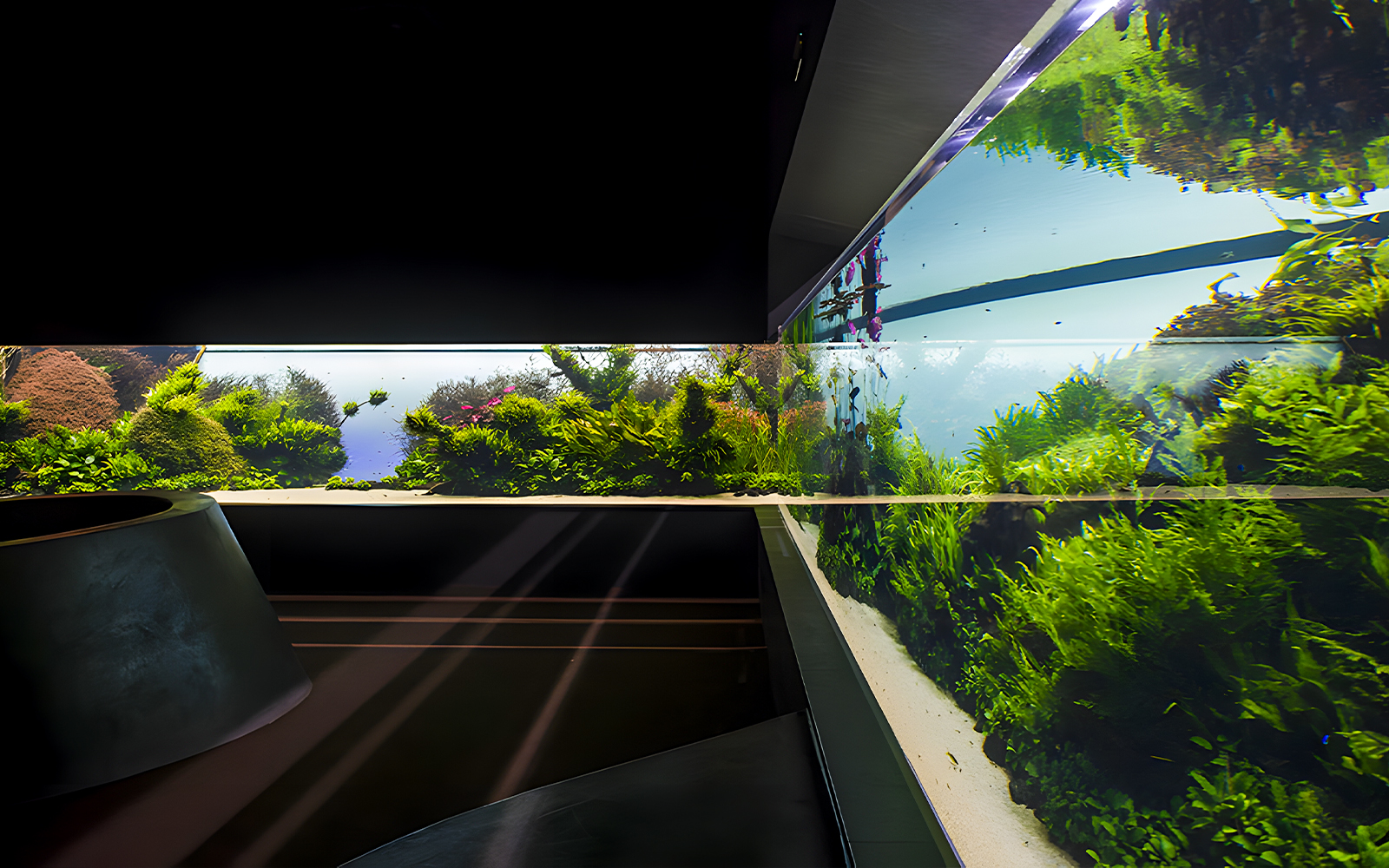 Lisbon Oceanarium underwater exhibits with lush aquatic plants.