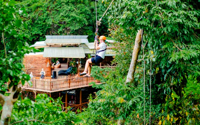Ziplining through lush forest near a treehouse cafe in Koh Samui.