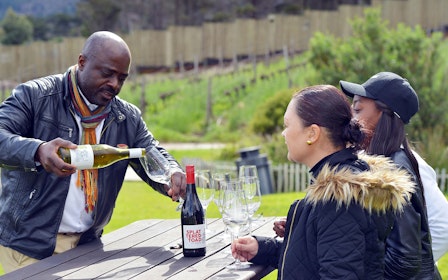 Robben Island, Kirstenbosch National Botanical Garden & Constantia Full-Day Tour with Wine Tasting