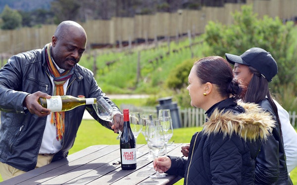 Robben Island, Kirstenbosch National Botanical Garden & Constantia Full-Day Tour with Wine Tasting