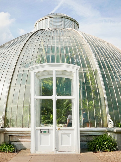 Glasshouse at Kew Gardens, London, with lush greenery inside.