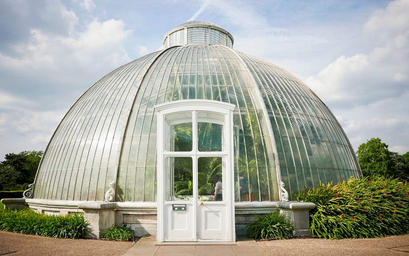Glasshouse at Kew Gardens, London, with lush greenery inside.