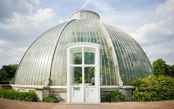 Glasshouse at Kew Gardens, London, with lush greenery inside.