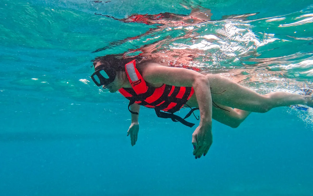 2 Hours Tulum Snorkel: Sea Turtles, Stingrays & Coral Reef