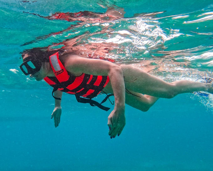 2 Hours Tulum Snorkel: Sea Turtles, Stingrays & Coral Reef (Product 53559)