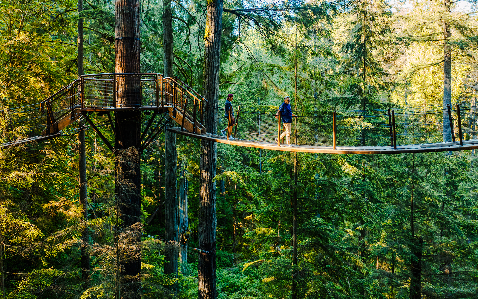 Visitors walking on a treetop bridge at Capilano Suspension Bridge Park, surrounded by forest.