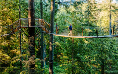 Visitors walking on a treetop bridge at Capilano Suspension Bridge Park, surrounded by forest.