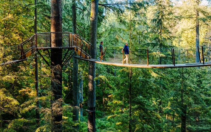 Visitors walking on a treetop bridge at Capilano Suspension Bridge Park, surrounded by forest.