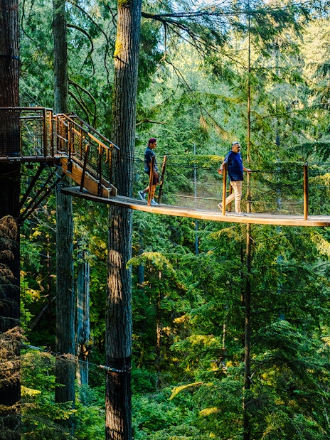 Visitors walking on a treetop bridge at Capilano Suspension Bridge Park, surrounded by forest.