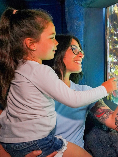 Visitors observing colorful fish at Sea Life Aquarium.