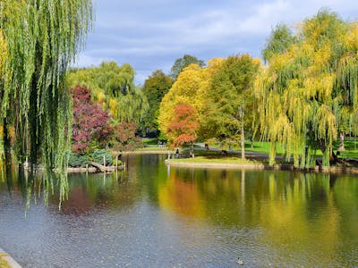 Boston Public Garden