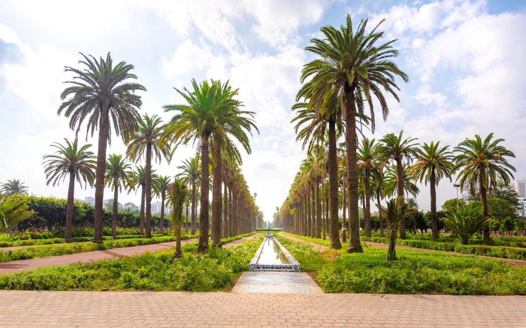 Palm-lined path in The Arab League Park, Casablanca, Morocco.