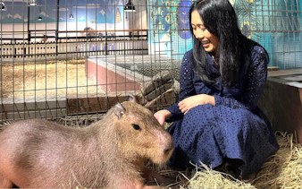 Person interacting with a capybara at Just Farm Indoor Zoo Kuala Lumpur.