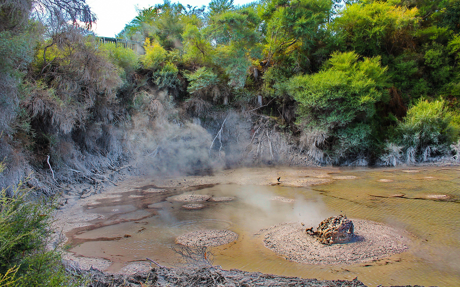 Local Mud Pools