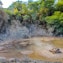 Local Mud Pools