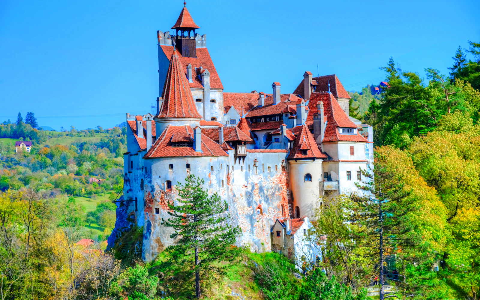 From Bucharest: Peles Castle, Dracula's Castle & Brasov Day Trip