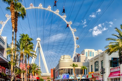 Fliegen LINQ Zipline Tickets