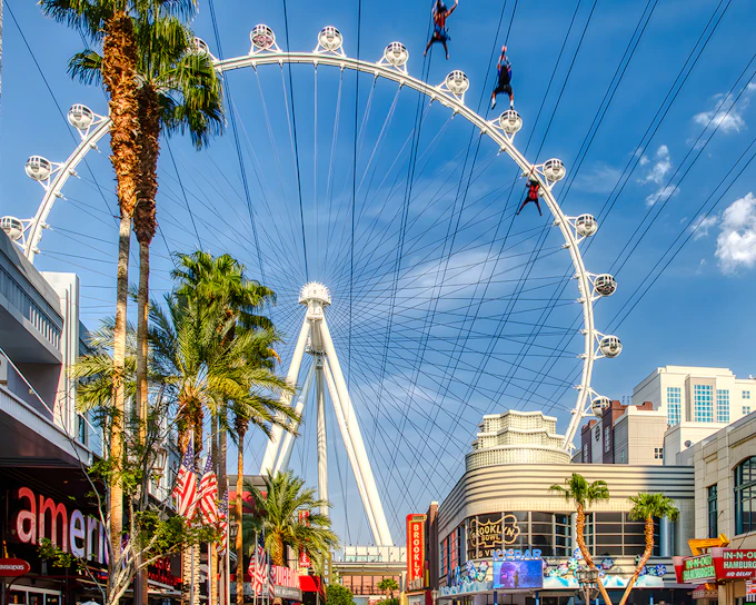 Fly LINQ Zipline Tickets