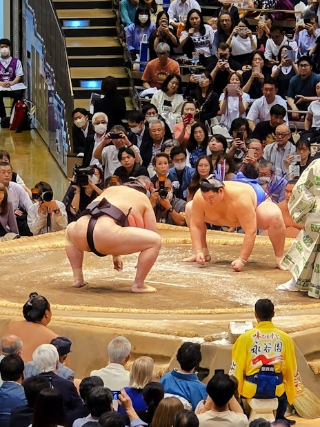 Sumo wrestlers crouching in the ring, performing pre-fight ritual in front of audience.