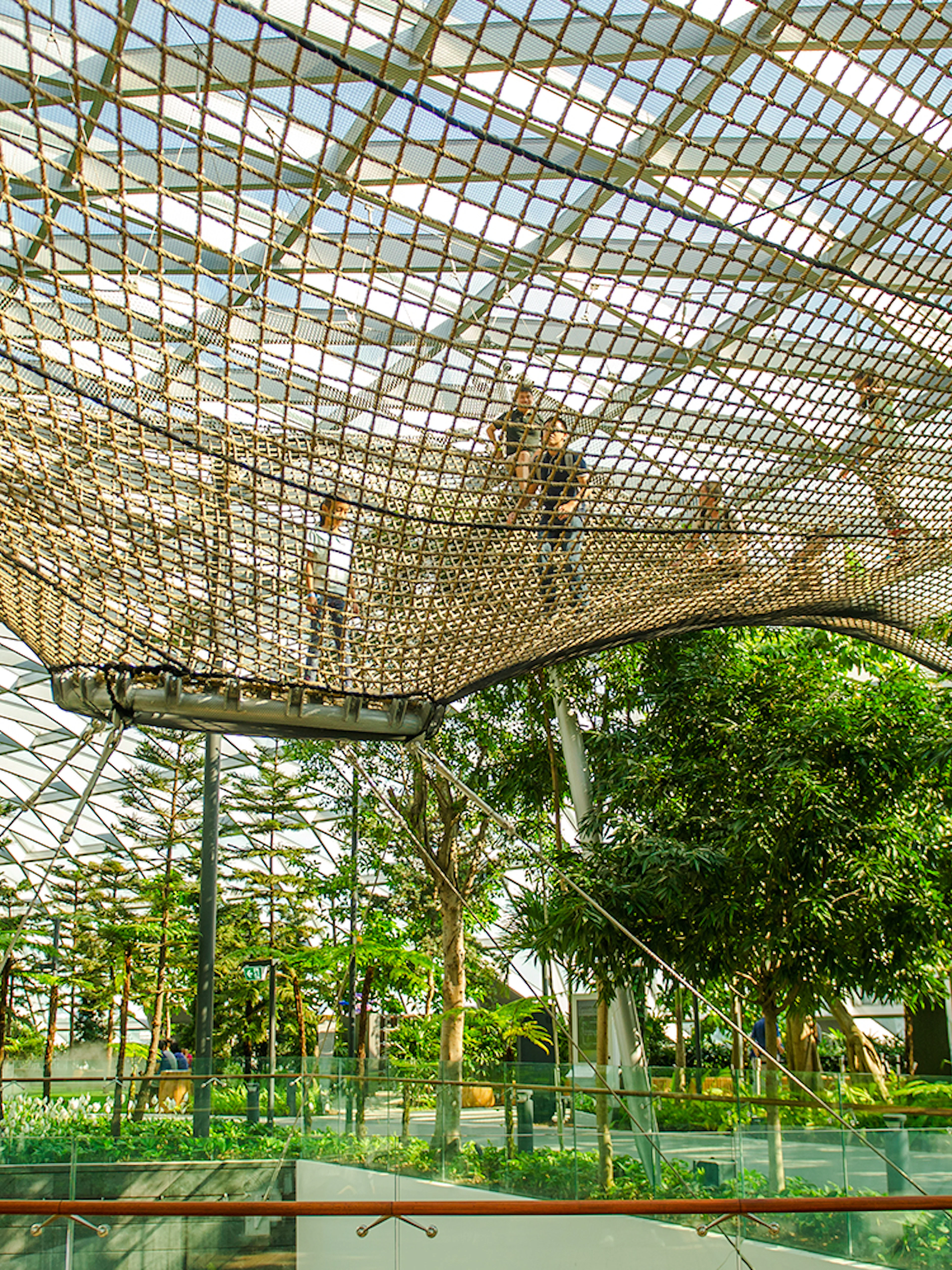 Visitors walking on Sky Nets at Canopy Park, Jewel Changi, surrounded by lush greenery.